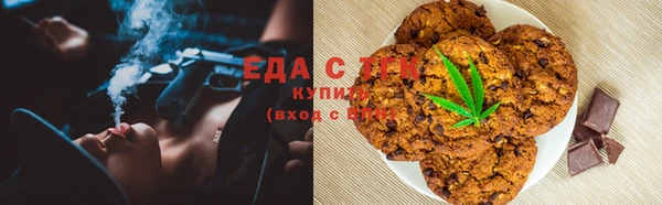 гашик Ельня