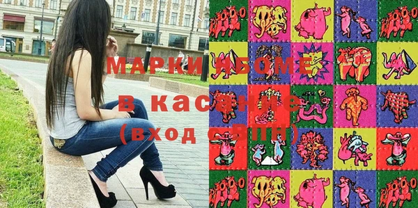 гашик Ельня