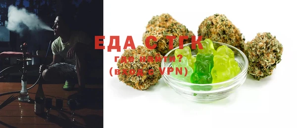 гашик Ельня