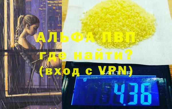 гашик Ельня