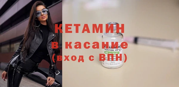 гашик Ельня