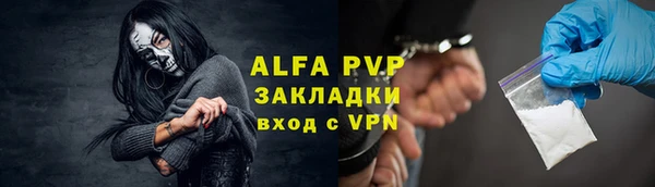 гашик Ельня