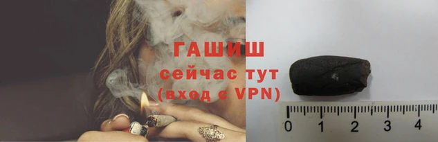 гашик Ельня