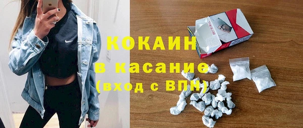 гашик Ельня