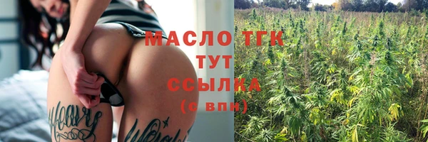 гашик Ельня