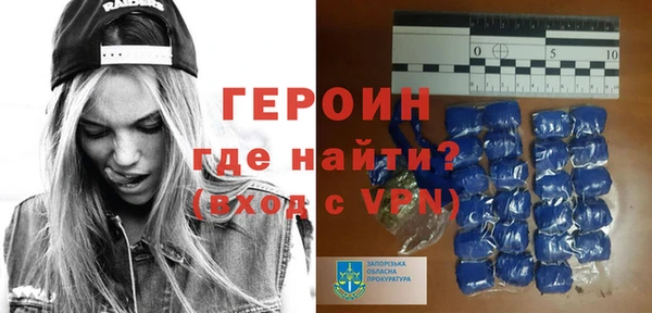 гашик Ельня