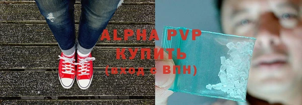 гашик Ельня