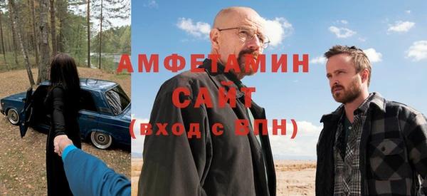 гашик Ельня