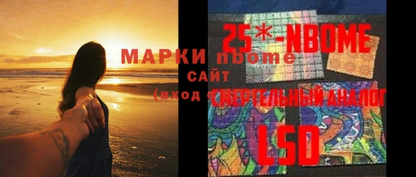 гашик Ельня