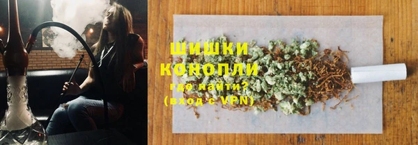 гашик Ельня